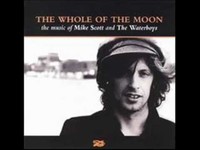 pochette album Rare, precious and gone