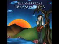 pochette album The new life