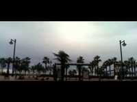 pochette album Upon the wind and waves