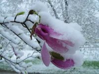 pochette album Winter winter