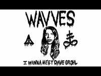 pochette album I wanna meet dave grohl