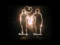 pochette album Vermin