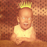 pochette album Majestic