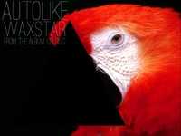 pochette album Autolike