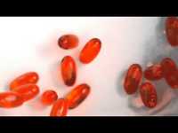 pochette album Efervex