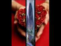 pochette album Crazy arms