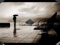 pochette album Didn't we shine