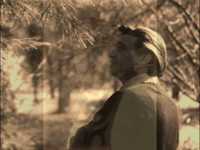 pochette album I lost me