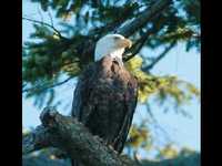 pochette album Reno and me