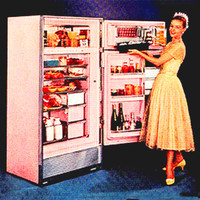 pochette album Refrigerator saga