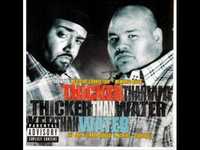 pochette album Survival of the fittest