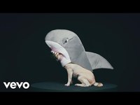 pochette album The shark