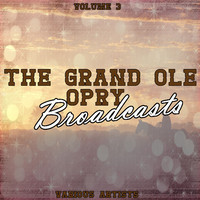 pochette album I'll go on alone