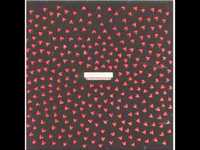 pochette album Blonde