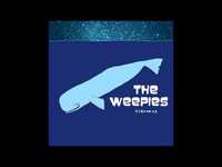 pochette album Not dead yet