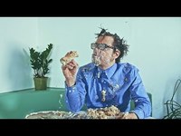 pochette album California kids