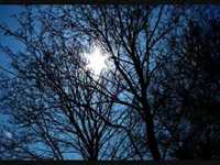 pochette album Little songs