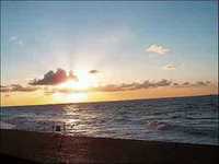 pochette album The organ player