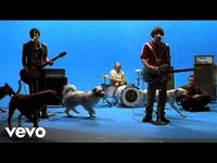 pochette album The sweater song