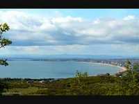 pochette album Your room