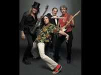 pochette album Cat's in the kettle