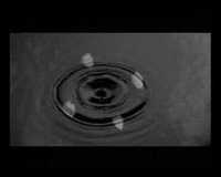 pochette album If only i could be with you