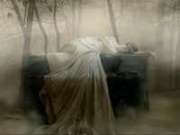 pochette album `til the end of time