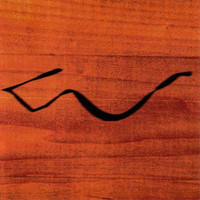 pochette album Borrowed reflection