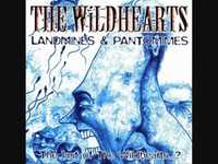 pochette album Abhoria