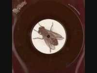 pochette album And the bullshit goes on