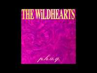 pochette album Baby strange