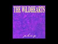 pochette album Cold patootie tango