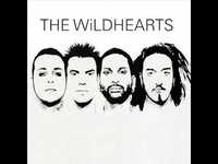 pochette album Mazel tov cocktail