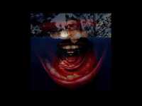 pochette album Nurse maximum