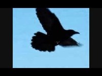 pochette album Changing skies