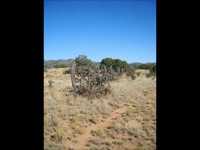 pochette album I'm alive