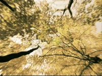 pochette album September song