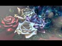 pochette album The warm red wine