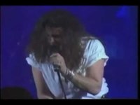 pochette album I'll never fall in love again