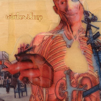 pochette album A long flight