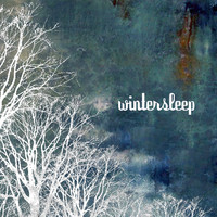 pochette album Butterfly