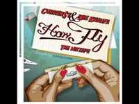 pochette album Layover