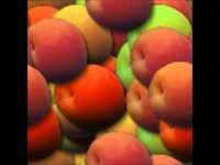 pochette album As coroner, i must aver