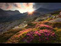 pochette album Uebers jahr