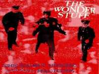 pochette album The animals and me