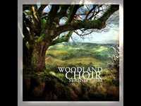 pochette album Safe here