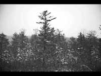 pochette album The tavern