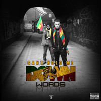 pochette album Can't hold me down