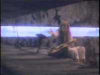 pochette album Standing push and fall