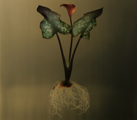 pochette album Beautiful